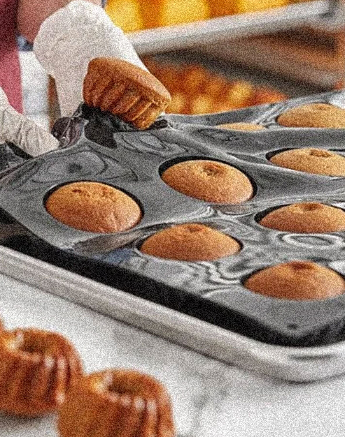 Kinn Collective BOH Pavoni Pastry Tools Moulds 01