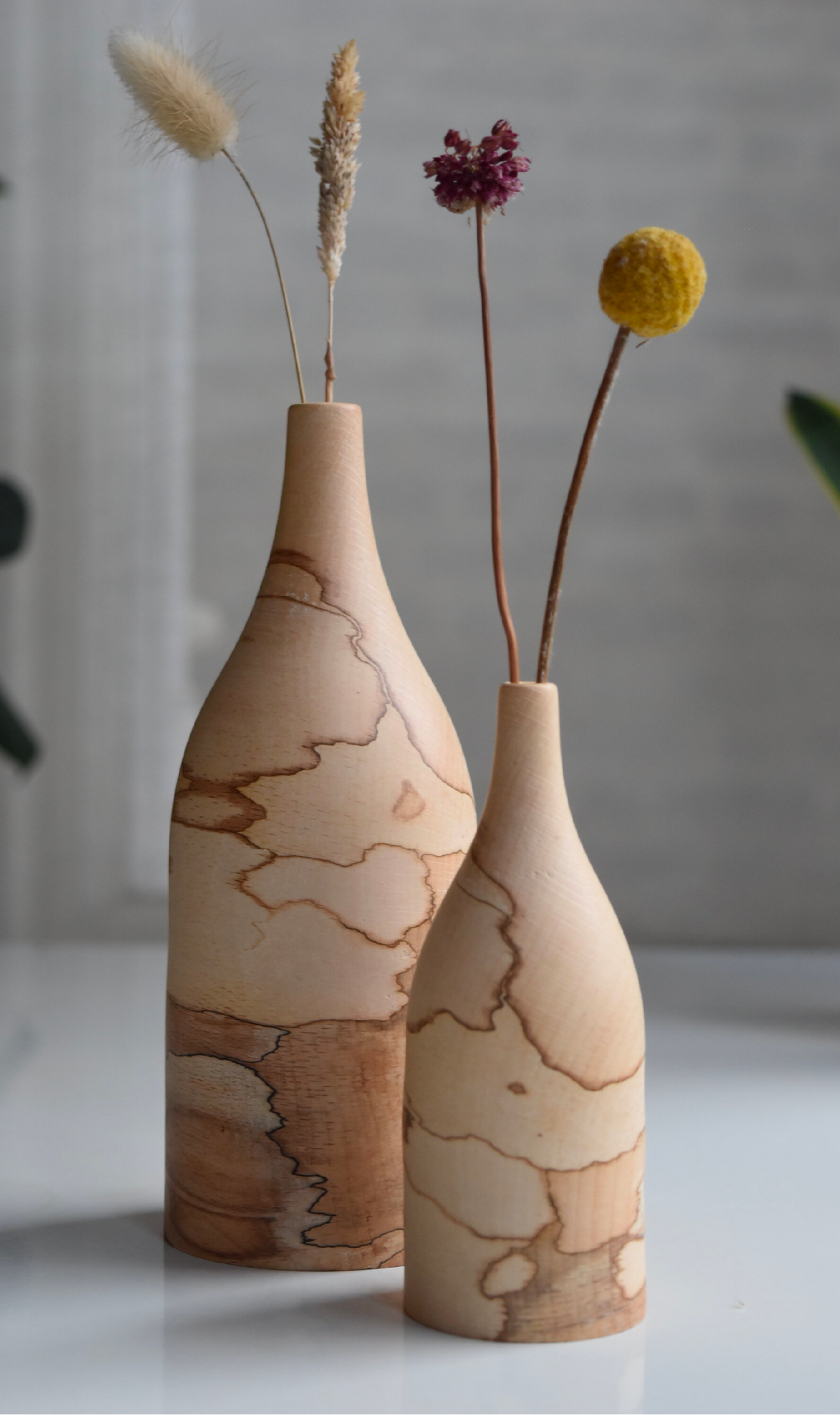 Kinn Collective FOH Bird and Branch 02